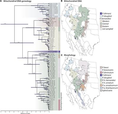 Phylogenomic Assessment of Biodiversity Using a Reference-Based Taxonomy: An Example With Horned Lizards (Phrynosoma)